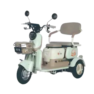Electric tricycle designed for elderly and disabled mobility, featuring a comfortable seat, safety features, and easy-to-use controls for enhanced independence.