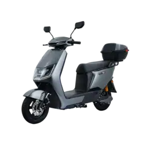 Electric scooter for urban commuting and delivery.