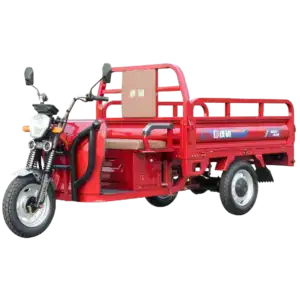 Electric cargo tricycle with a red cargo bed, designed for efficient transportation and delivery services, ideal for urban logistics and small business needs.
