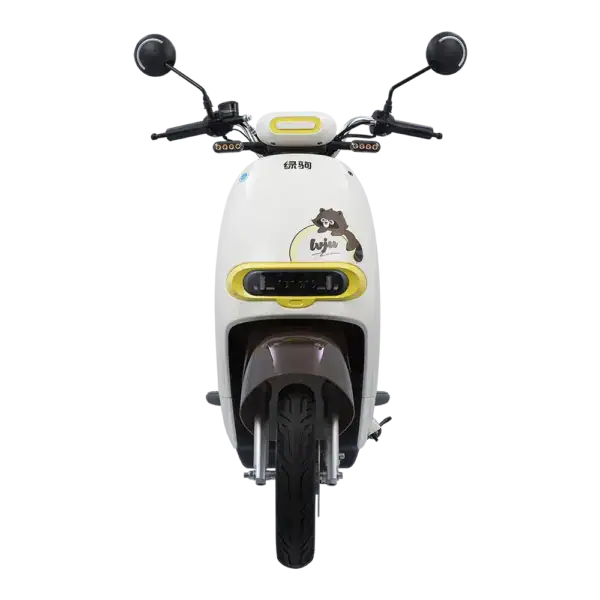 Electric scooter with raccoon graphic and playful design, ideal for eco-friendly city travel and short-distance rides. Features modern handlebars, safety lights, and a compact build for easy maneuvera.